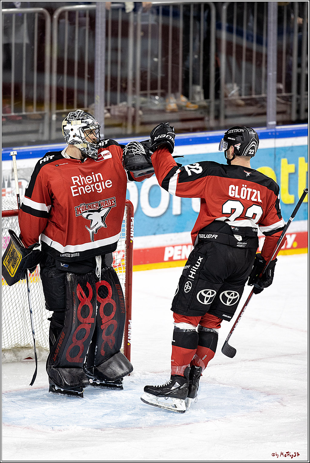 PENNY DEL;  Koelner Haie - Bietigheim Steelers; Koeln, 19.11.2021